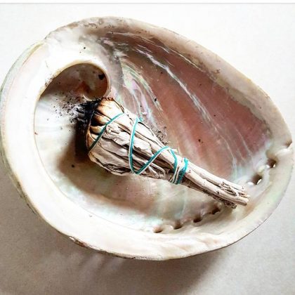 Sage and Abalone Shell
